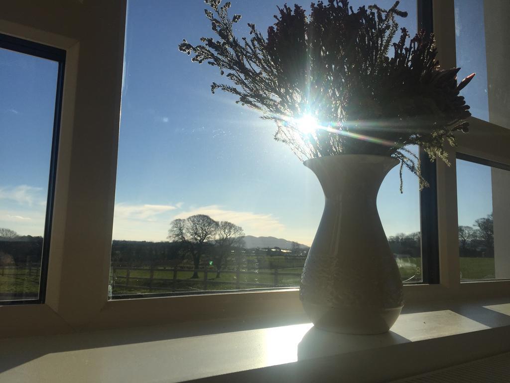 The Red Cottage & Stables Sligo Bagian luar foto
